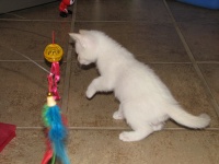 20100206 410.JPG